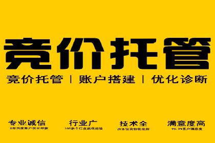 百度竞价竞争分析：实战案例与应对策略